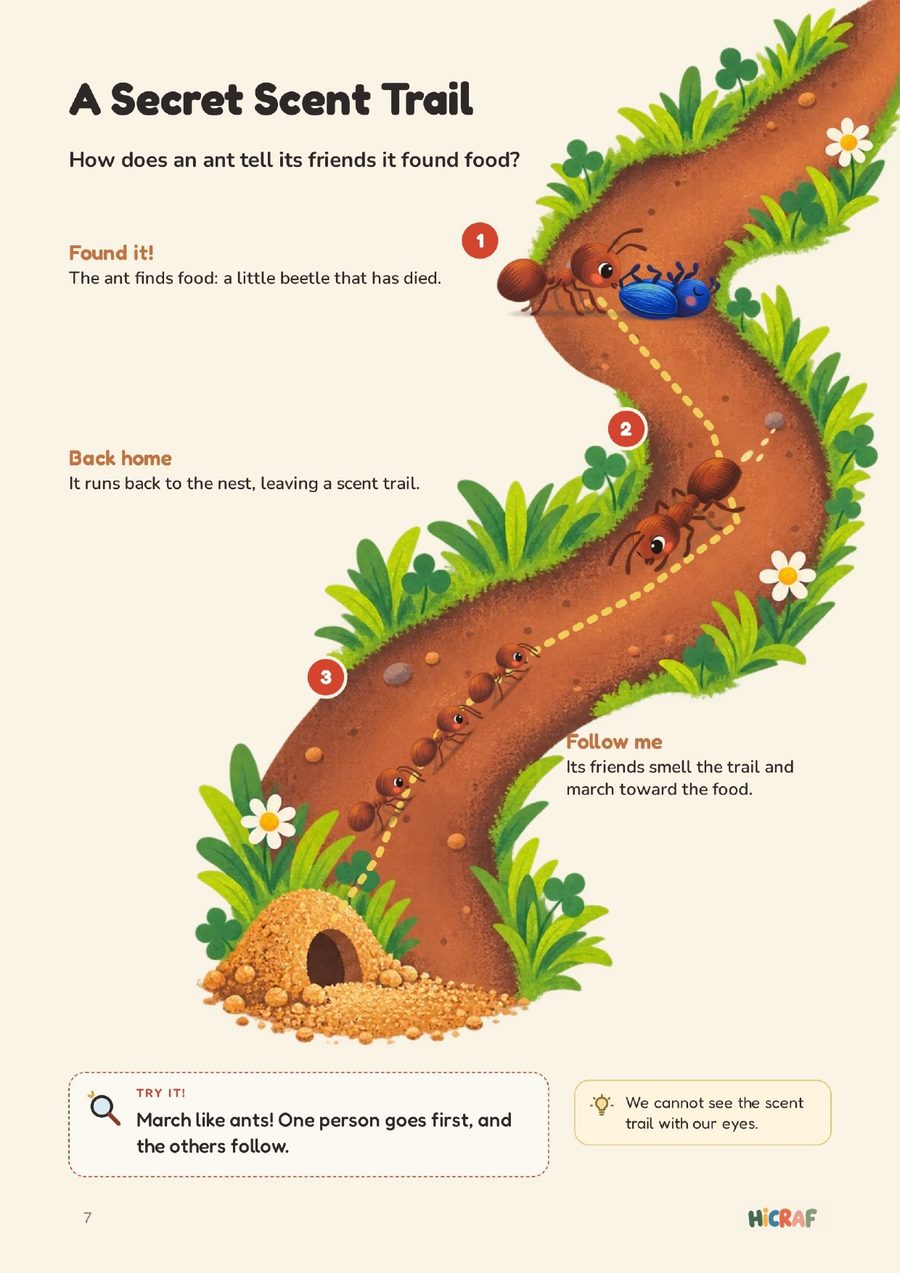A Secret Scent Trail