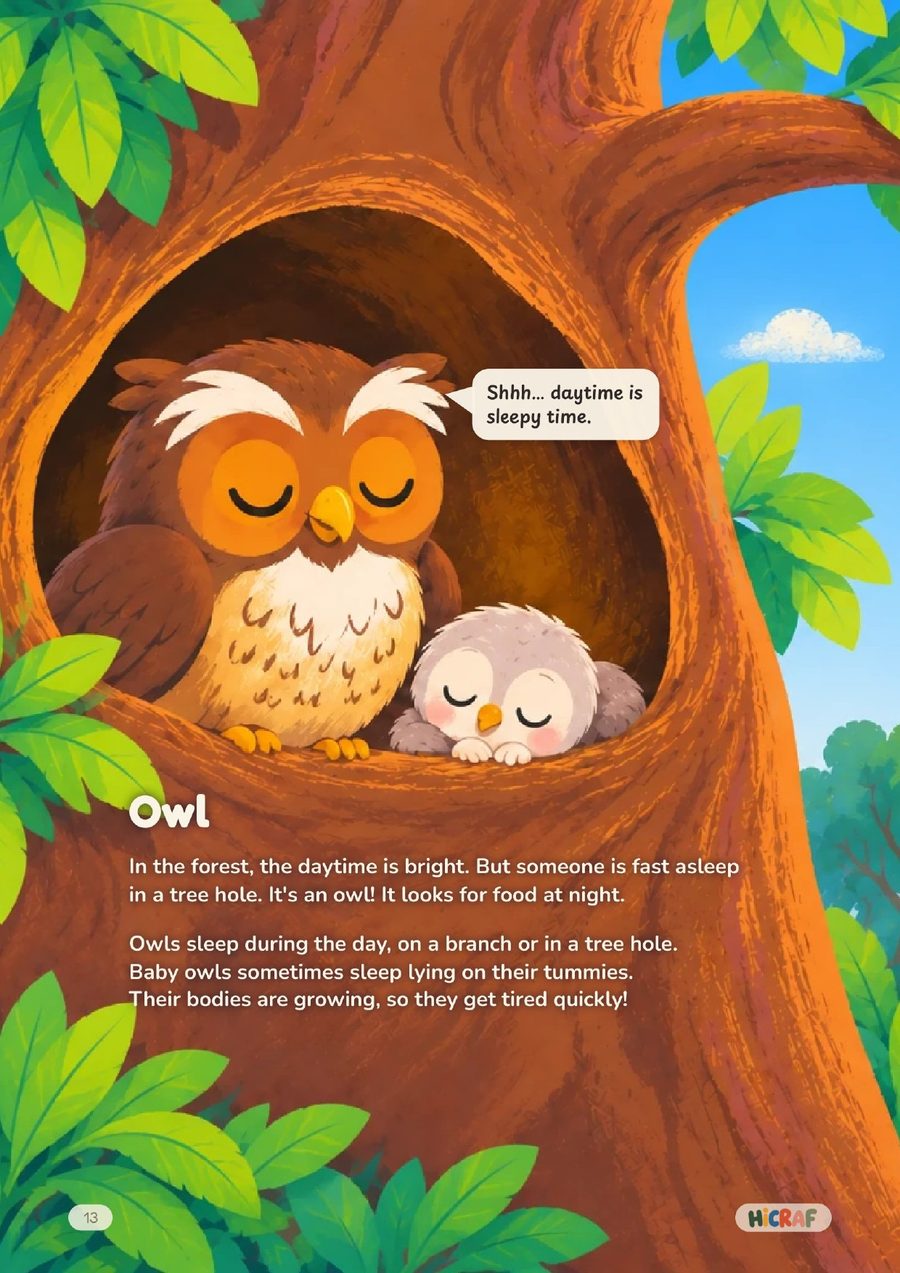 Owl