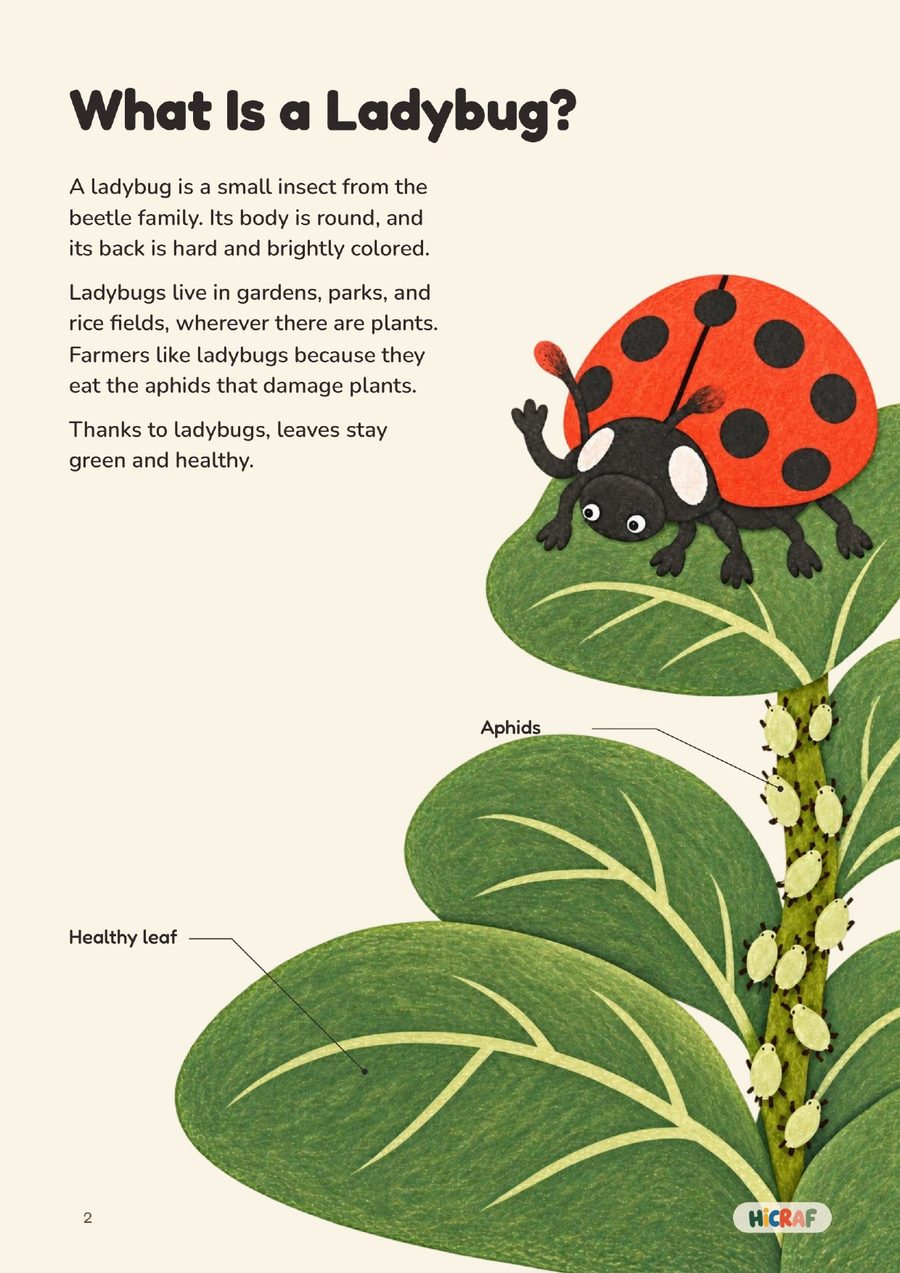 What Is a Ladybug?