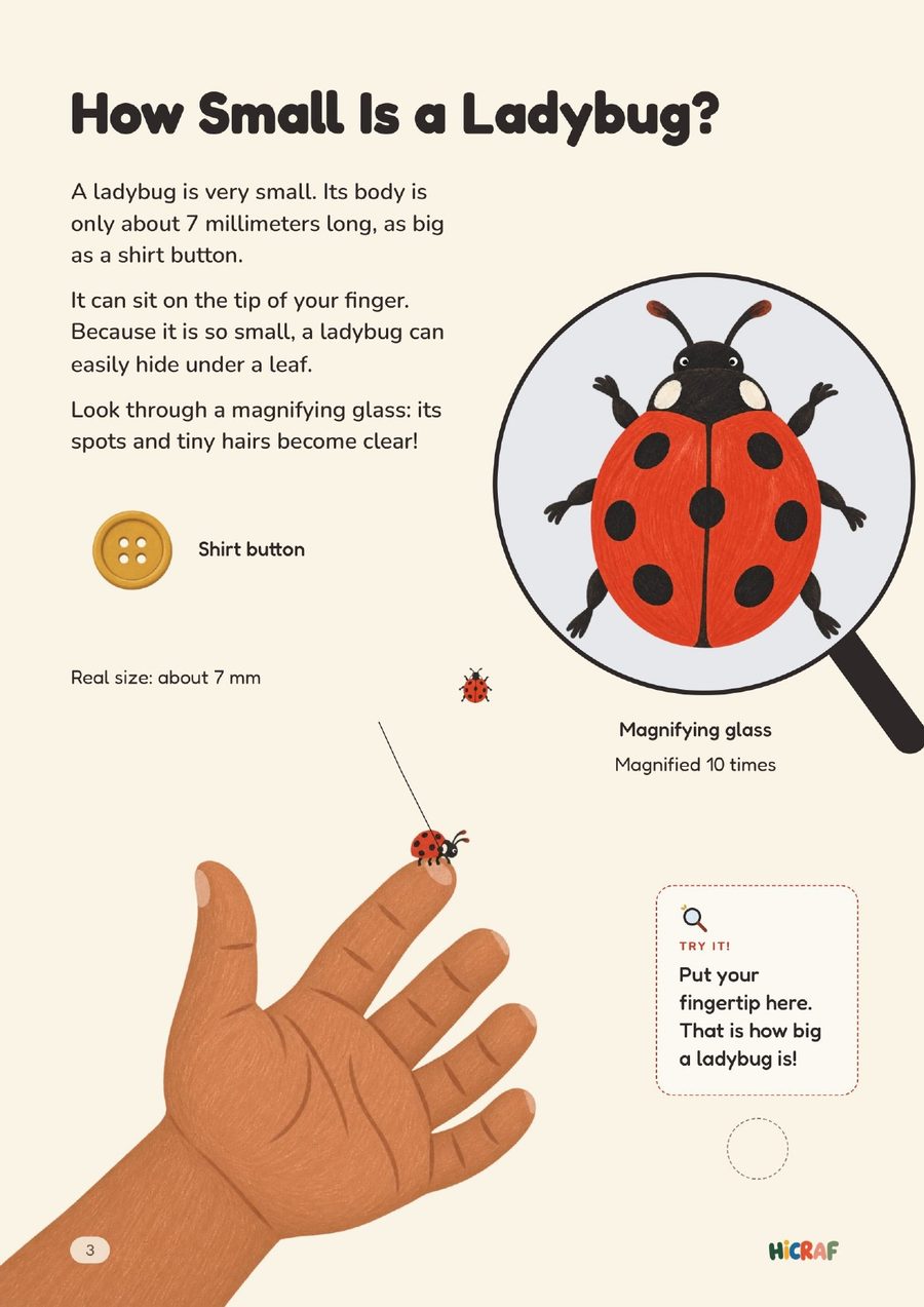 How Small Is a Ladybug?